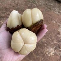 อาหารจากไร่